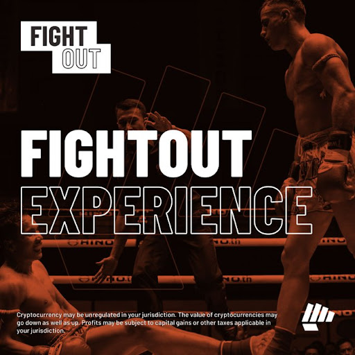 fight out (FHGT) experience