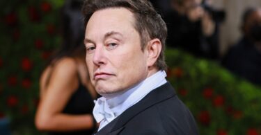 The Tricky Business of Elon Musk Getting Twitter Fire-Hose Access