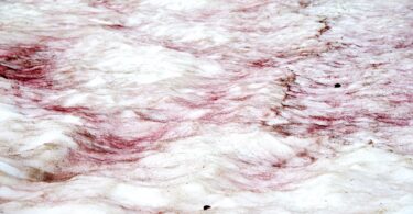 Pink Snow Is Not a Cute Phenomenon—Here’s Why