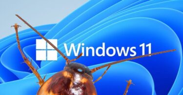 Microsoft Office may not open when you restore Windows 11