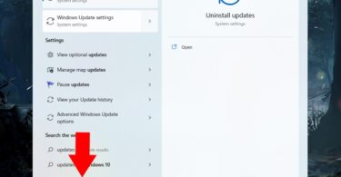 How to check for Windows 11 updates