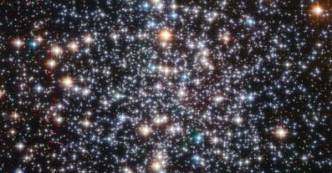 Hubble goes hunting for elusive medium-sized black holes