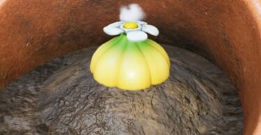 All Flarlic locations in Pikmin 4